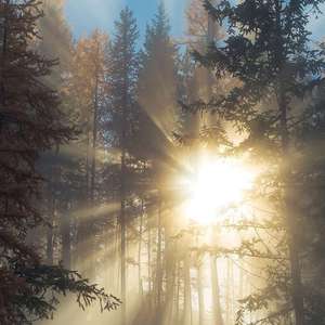 97大神超碰在线
